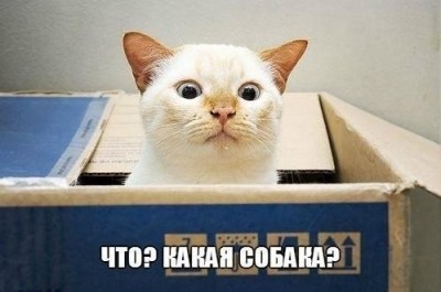 PShYkAWomZk.jpg