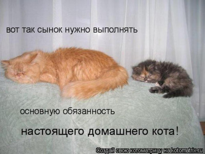 27--uchis-s--nok-kak-spat.jpg