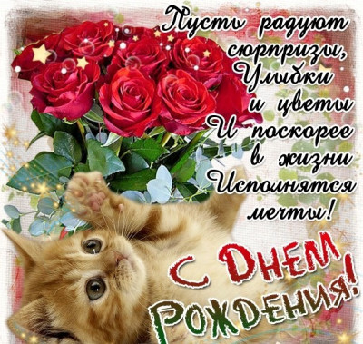 катя кошка.jpg