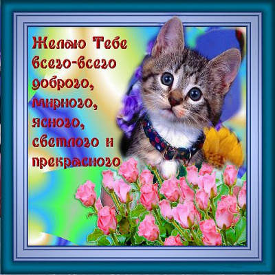 катя 2.jpg