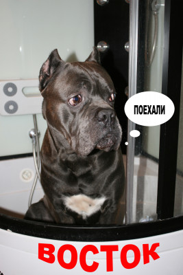 Космонавт.jpg