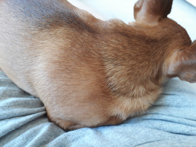 20180415_144456.jpg