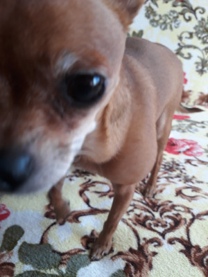 20180415_153030.jpg