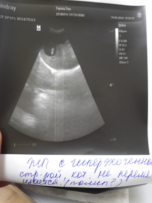 20180419_194309.jpg