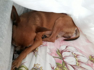 20180423_103329.jpg