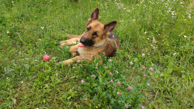 IMG_20180622_103830444-min.jpg (1.7 МБ) 5327 просмотров На отдыхе