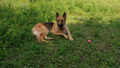 IMG_20180621_111300067-min.jpg (2.12 МБ) 5327 просмотров Но и бдю я тоже !