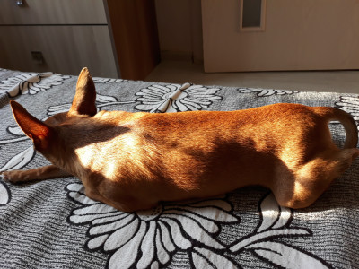 20180724_182934.jpg