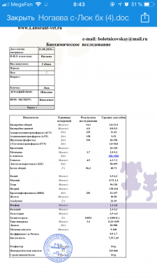 3726A701-8D92-4658-904A-BD618482767A.png