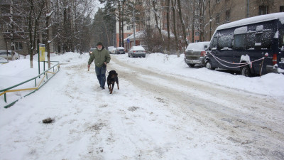 это дедуля который ее приютил