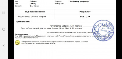 Screenshot_20191026-193459_Drive.jpg