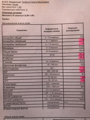E567E408-F7C0-4842-958B-E445A9E02D13.jpeg