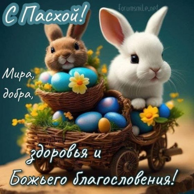 1E2D5EB5-7B73-4C48-B587-4501974C6558.jpeg
