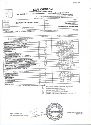 Найда2.jpg