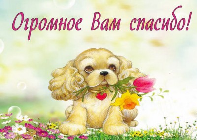 Собак спасибо.jpg