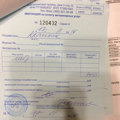 чек2.jpg