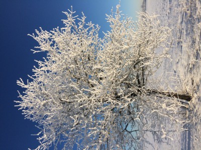 IMG_0264.JPG