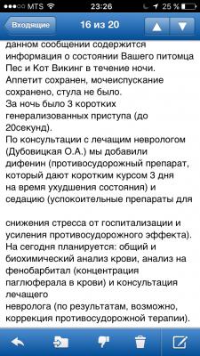 IMG_6560.PNG