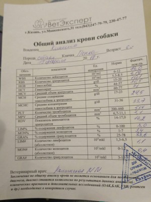 IMG_20170215_201810.jpg