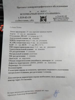 IMG_20170308_153631.jpg