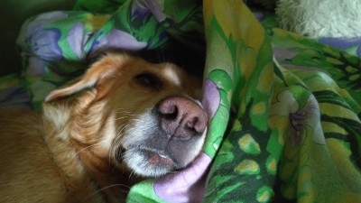 IMG-20170407-WA0000.jpeg