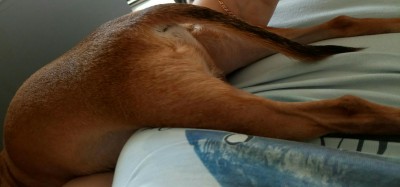 _20170514_224834.JPG