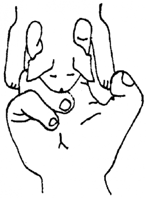 3-.png