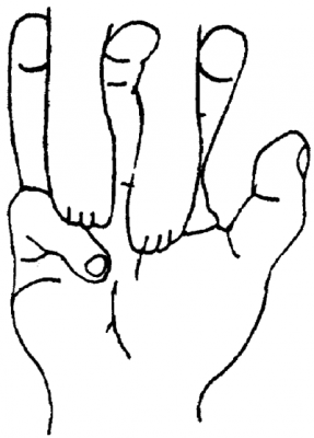 4-.png