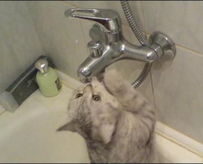 кран.jpg