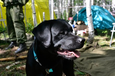 Гоша собственной персоной))