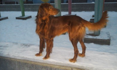 20150126_163407.jpg