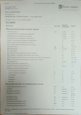 FyPEYMijbtU-1.jpg