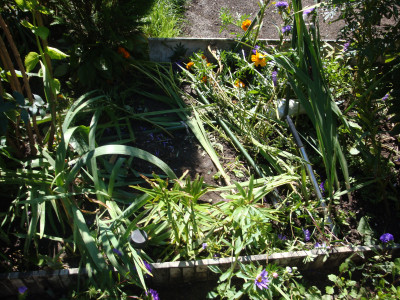 DSC03978.JPG