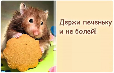 BED7E9C6-CEDE-42DE-96F5-37AA2B5A41AD.jpeg
