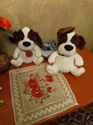 IMG_20171220_174419.jpg