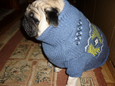 2017-12-20 13-42-55.JPG