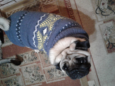 2017-12-22 18-51-30.JPG