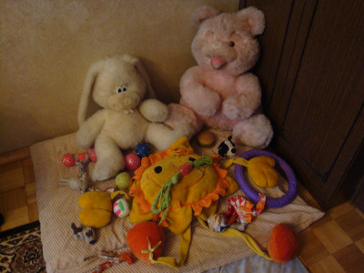 DSC04555.JPG