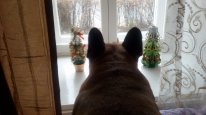 20180101_131522.jpg