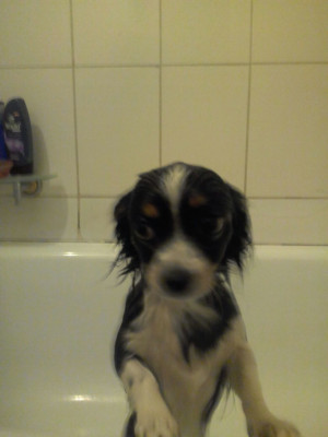 IMG-20180131-WA0017.jpg