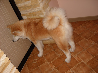 DSCN0049.JPG