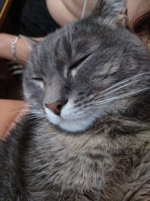 IMG_20180625_211747.jpg (1.18 МБ) 5645 просмотров IMG_20180625_211747.jpg