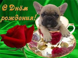 завантаження.jpg