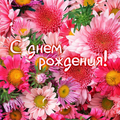537662_bukety-cvetov-s-dnem-rozhdeniya-foto.jpg
