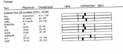 анализ2.JPG