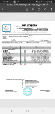 Screenshot_20210513-173044_Word.jpg