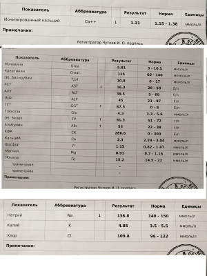анализы
