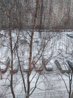 IMG_20220327_063432.jpg
