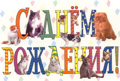 картинка.jpg
