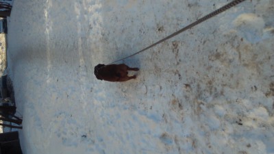 DSC_0007.JPG (1.28 МБ) 3641 просмотр DSC_0007.JPG